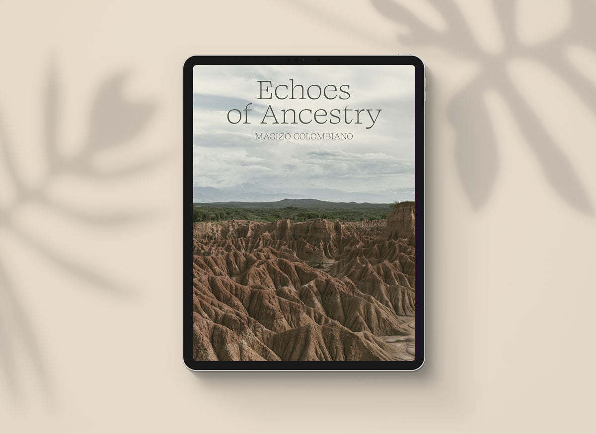 1. LUXIDERS MAGAZINE N°13 | Digital