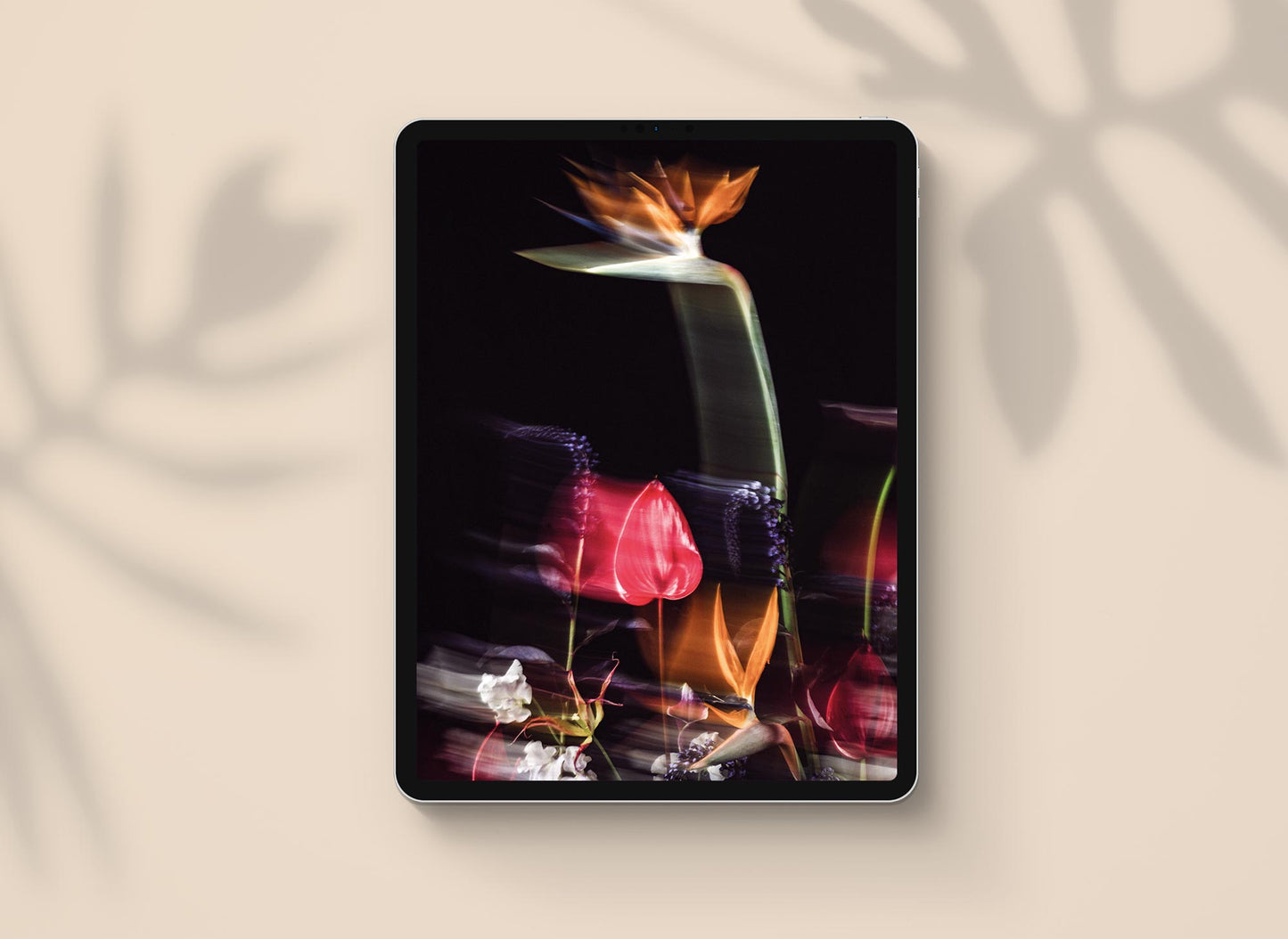 1. LUXIDERS MAGAZINE N°14 | Digital [Cover 1]